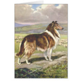  Artwork - Rough Collie Dog, (Voorkant)