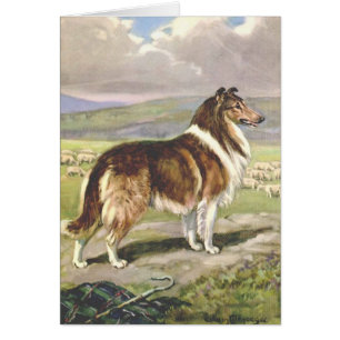  Artwork - Rough Collie Dog,