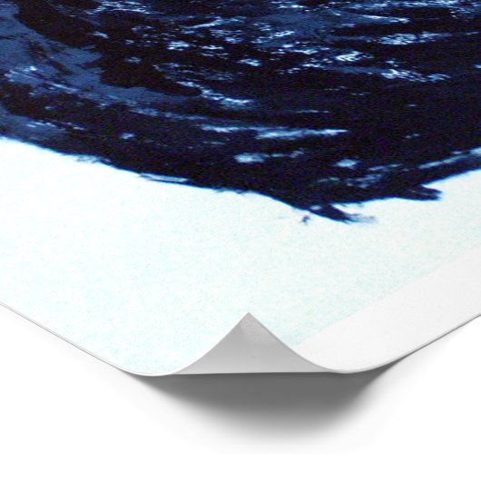 Arty Black Horse Poster (Hoek)