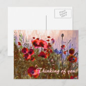 Arty poppies! briefkaart (Voorkant / Achterkant)