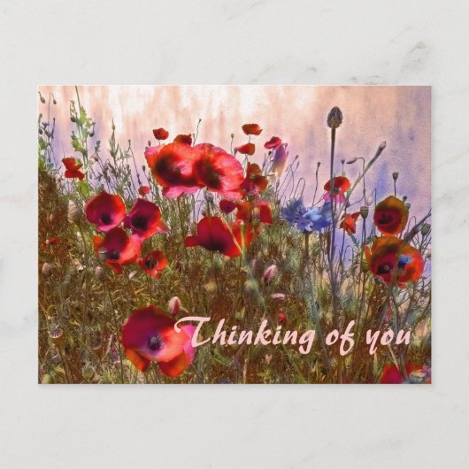 Arty poppies! briefkaart (Voorkant)