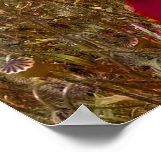 Arty poppies poster (Hoek)