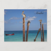 Aruba, blauwe hemden in het Briefkaart van het Par (Voorkant)