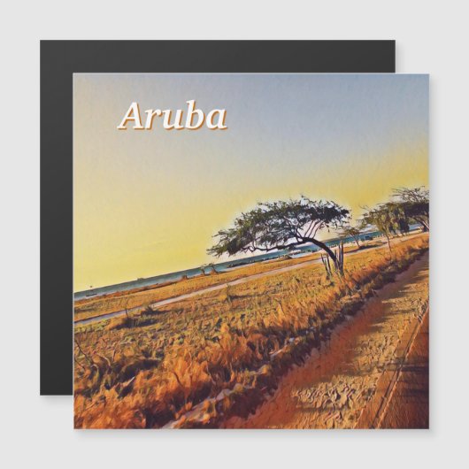 Aruba Divi Divi Bomen (Voorkant / Achterkant)