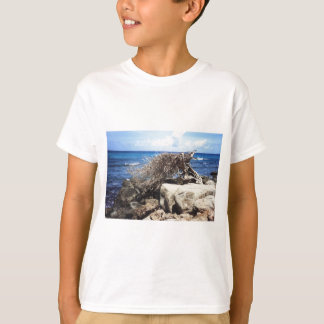 Aruba Divi Divi Boom Aan De Oceaan T-shirt