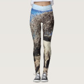 Aruba Divi Divi - Boom en oceaan Leggings (Voorkant)