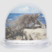 Aruba Divi Divi - Boom en oceaan Sneeuwbol (Achterkant)