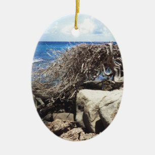 Aruba Divi Divi - boom op de oceaan Keramisch Ornament