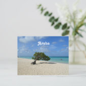 Aruba Divi Divi Tree Briefkaart (Staand voorkant)