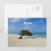 Aruba Divi Divi Tree Briefkaart (Voorkant / Achterkant)