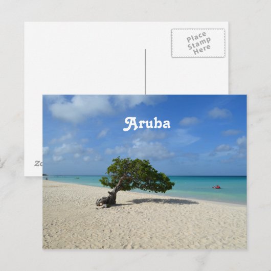 Aruba Divi Divi Tree Briefkaart (Voorkant / Achterkant)