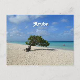 Aruba Divi Divi Tree Briefkaart