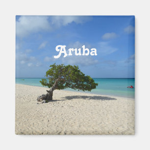 Aruba Divi Divi Tree Magneet