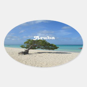 Aruba Divi Divi Tree Ovale Sticker