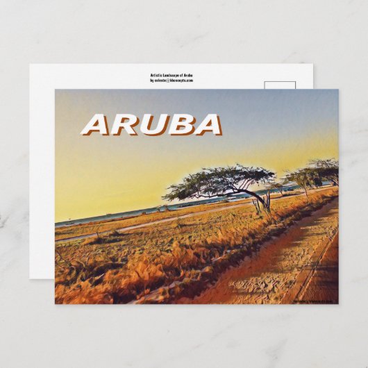 Aruba - Divi Divi Trees Briefkaart (Voorkant / Achterkant)