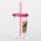 Aruba Eagle Beach Divi Tree Gouden Uur Acryl Drinkbeker (Rechts)