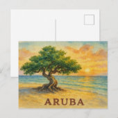 Aruba Eagle Beach Divi Tree Gouden Uur Briefkaart (Voorkant / Achterkant)