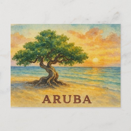 Aruba Eagle Beach Divi Tree Gouden Uur Briefkaart (Voorkant)