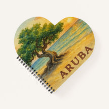 Aruba Eagle Beach Divi Tree Gouden Uur