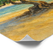 Aruba Eagle Beach Divi Tree Gouden Uur Poster (Hoek)