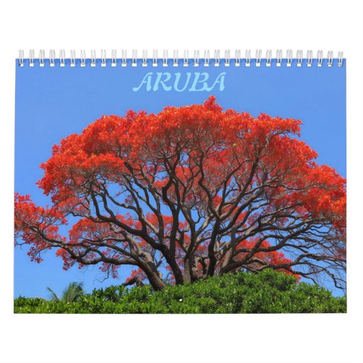 Aruba één gelukkig eiland kalender (Hoes)
