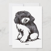 Aruba Feestdagenkaart (Achterkant)