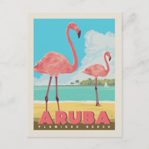 Aruba   Flamingo Beach Briefkaart