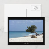 ARUBA fofoti-boom Briefkaart (Voorkant / Achterkant)