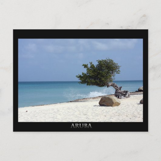 ARUBA fofoti-boom Briefkaart (Voorkant)
