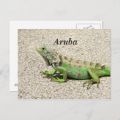 Aruba Green Iguana Briefkaart (Voorkant / Achterkant)