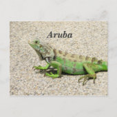 Aruba Green Iguana Briefkaart (Voorkant)