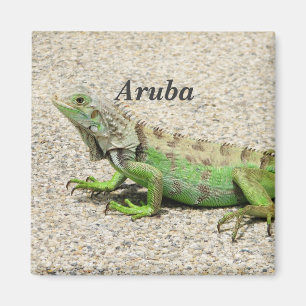 Aruba Green Iguana Magneet