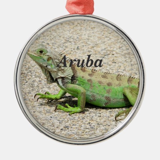 Aruba Green Iguana Metalen Ornament (Voorkant)