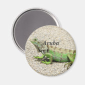 Aruba Groene Iguana Magneet (Voorkant / Achterkant)