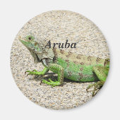 Aruba Groene Iguana Magneet (Voorkant)