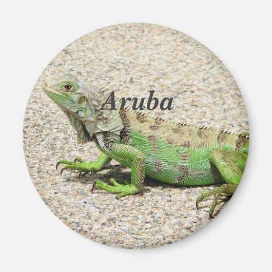 Aruba Groene Iguana Magneet (Voorkant)
