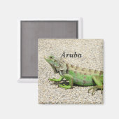 Aruba Groene Iguana Magneet (Voorkant / Achterkant)