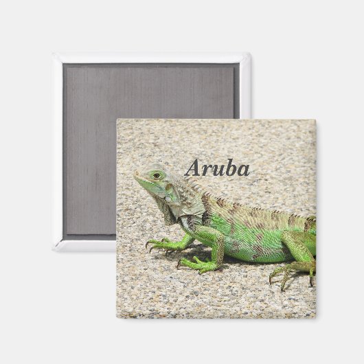 Aruba Groene Iguana Magneet (Voorkant / Achterkant)