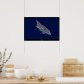 Aruba, het Caribische Satelliet-Poster Poster (Keuken)