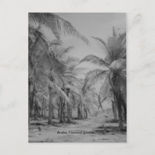 Aruba, Kokosboomgaarden Briefkaart