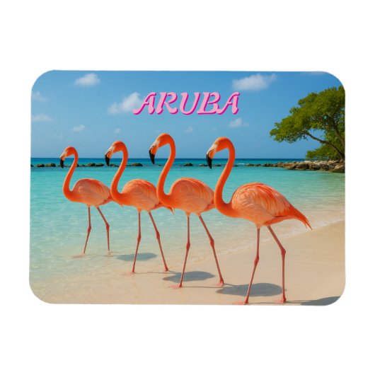 Aruba-magneet Magneet (Horizontaal)