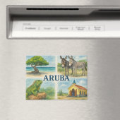 Aruba multiweergave waterverf magneet (Insitu (Vaatwasser))