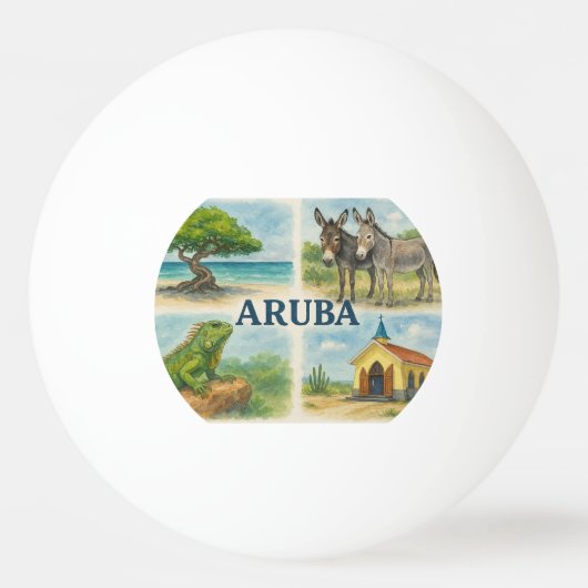 Aruba multiweergave waterverf pingpongbal (Voorkant)