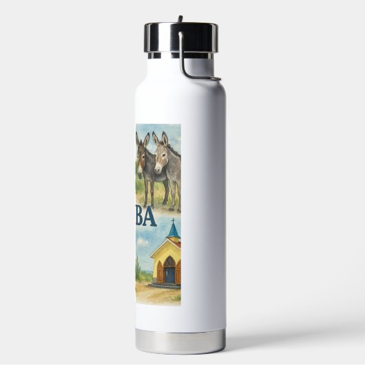 Aruba multiweergave waterverf waterfles (Links)