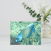Aruba Onderwater foto van vis Briefkaart (Staand voorkant)