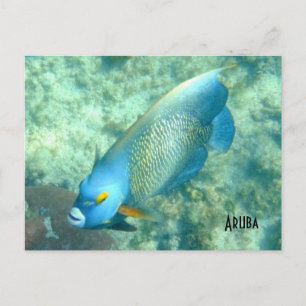 Aruba Onderwater foto van vis Briefkaart