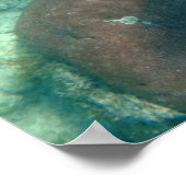 Aruba Onderwater foto van vis Poster (Hoek)