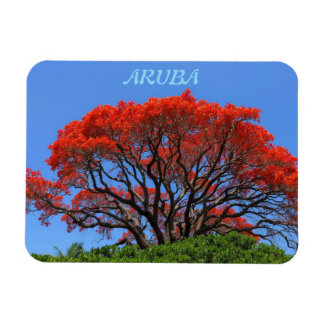 Aruba one happy island magnet magneet