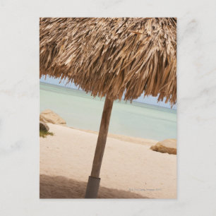 Aruba, palapa on beach briefkaart