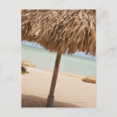 Aruba, palapa op strand briefkaart (Voorkant)